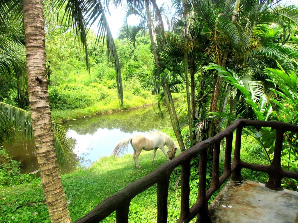 Happiness Resort Bankhlongheng Kültér fotó
