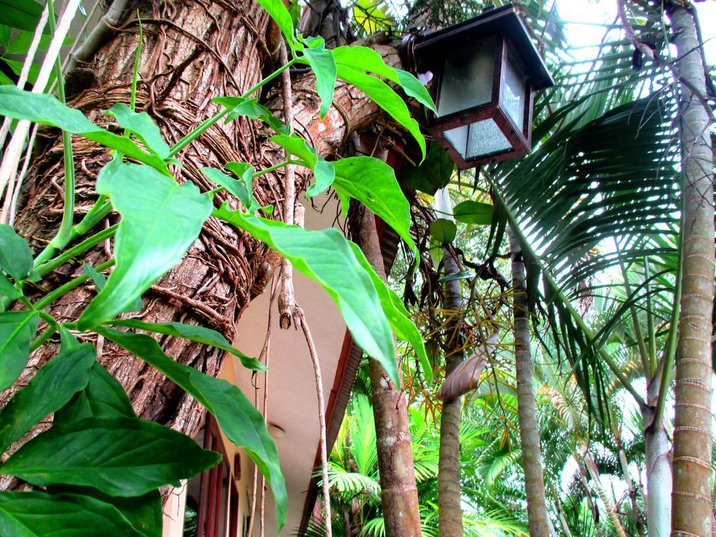 Happiness Resort Bankhlongheng Kültér fotó